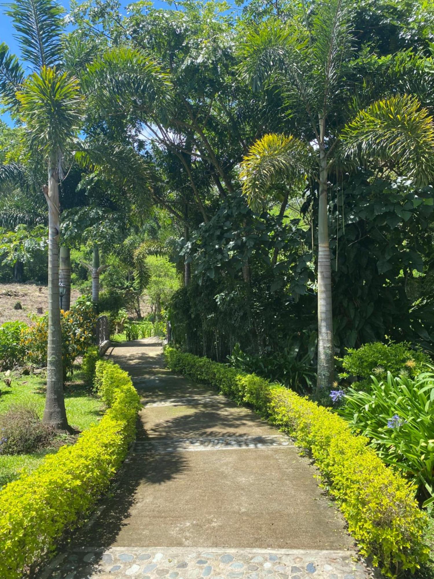 Hotel Boutique Casona Del Cafetal And Lakeside Restaurant Cachi Luaran gambar